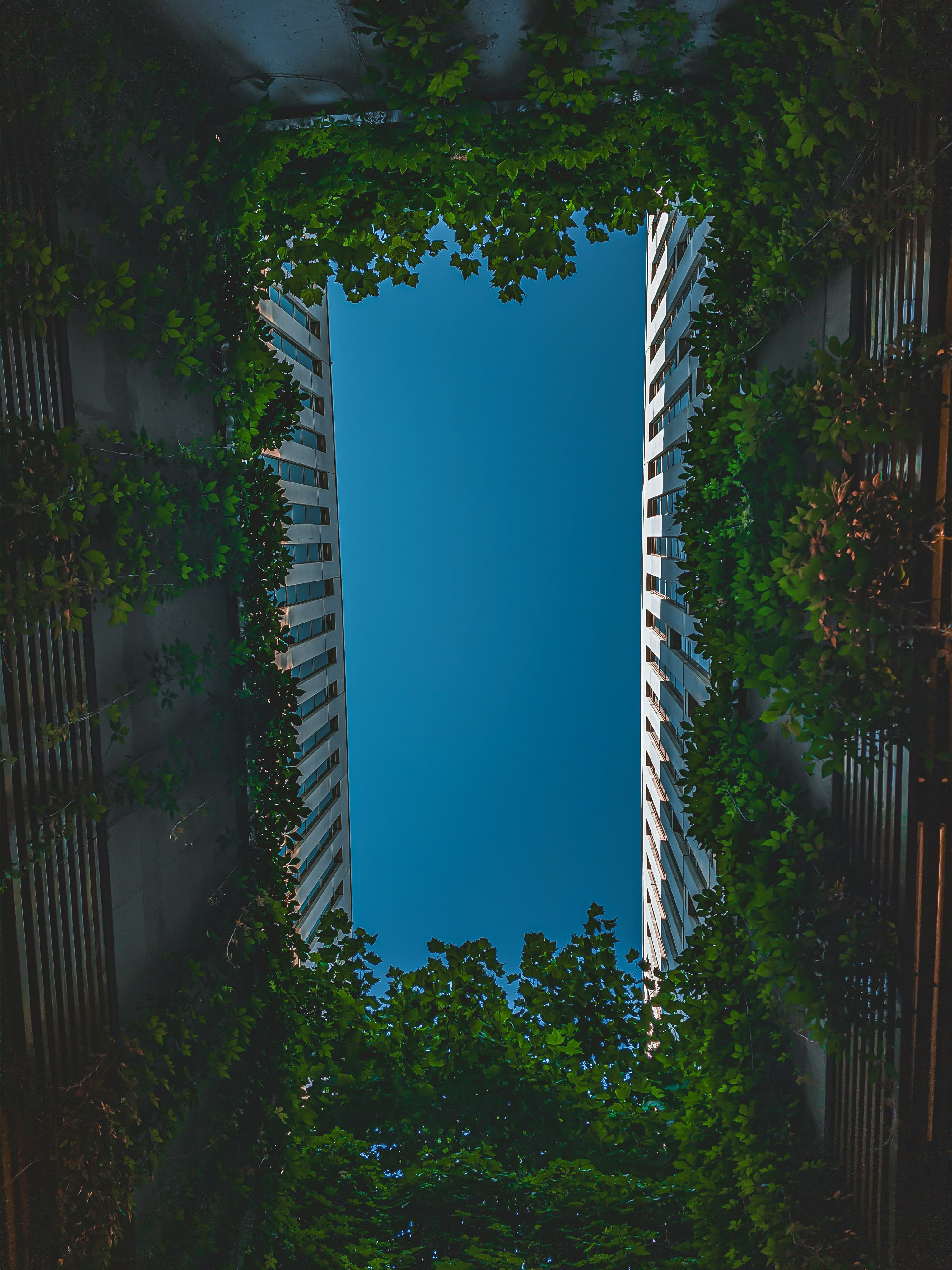 ESG / CSR Integration into IT Procurement